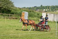 001 D107 -ATTELAGE LOUVRES - MARATHON - 28052017-ATE 1814 : 2017, 28 mAI 2017, Concours ATTELAGE 2017, D107, MARATHON, Obstacle 3