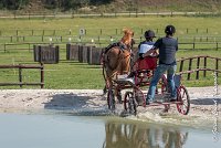 002 D107 -ATTELAGE LOUVRES - MARATHON - 28052017-ATE 1821 : 2017, 28 mAI 2017, Concours ATTELAGE 2017, D107, MARATHON, Obstacle 3