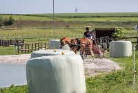 004 D107 -ATTELAGE LOUVRES - MARATHON - 28052017-ATE 1823 : 2017, 28 mAI 2017, Concours ATTELAGE 2017, D107, MARATHON, Obstacle 4