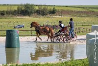 006 D107 -ATTELAGE LOUVRES - MARATHON - 28052017-ATE 1825 : 2017, 28 mAI 2017, Concours ATTELAGE 2017, D107, MARATHON, Obstacle 4