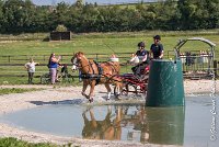 008 D107 -ATTELAGE LOUVRES - MARATHON - 28052017-ATE 1827 : 2017, 28 mAI 2017, Concours ATTELAGE 2017, D107, MARATHON, Obstacle 4