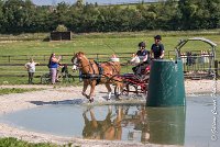 008 D107 -ATTELAGE LOUVRES - MARATHON - 28052017-ATE 1827 : 2017, 28 mAI 2017, Concours ATTELAGE 2017, D107, MARATHON, Obstacle 4