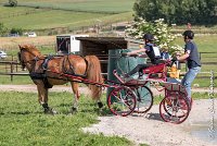 010 D107 -ATTELAGE LOUVRES - MARATHON - 28052017-ATE 1829 : 2017, 28 mAI 2017, Concours ATTELAGE 2017, D107, MARATHON, Obstacle 4