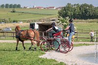 011 D107 -ATTELAGE LOUVRES - MARATHON - 28052017-ATE 1830 : 2017, 28 mAI 2017, Concours ATTELAGE 2017, D107, MARATHON, Obstacle 4