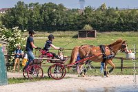 012 D107 -ATTELAGE LOUVRES - MARATHON - 28052017-ATE 1831 : 2017, 28 mAI 2017, Concours ATTELAGE 2017, D107, MARATHON, Obstacle 4