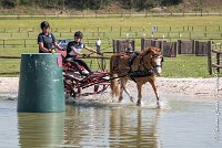 014 D107 -ATTELAGE LOUVRES - MARATHON - 28052017-ATE 1834 : 2017, 28 mAI 2017, Concours ATTELAGE 2017, D107, MARATHON, Obstacle 4