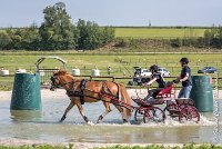 018 D107 -ATTELAGE LOUVRES - MARATHON - 28052017-ATE 1838 : 2017, 28 mAI 2017, Concours ATTELAGE 2017, D107, MARATHON, Obstacle 4