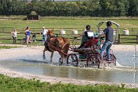 019 D107 -ATTELAGE LOUVRES - MARATHON - 28052017-ATE 1839 : 2017, 28 mAI 2017, Concours ATTELAGE 2017, D107, MARATHON, Obstacle 4