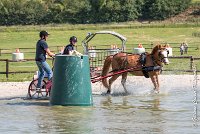 020 D107 -ATTELAGE LOUVRES - MARATHON - 28052017-ATE 1840 : 2017, 28 mAI 2017, Concours ATTELAGE 2017, D107, MARATHON, Obstacle 4