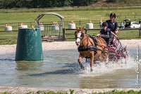 024 D107 -ATTELAGE LOUVRES - MARATHON - 28052017-ATE 1844 : 2017, 28 mAI 2017, Concours ATTELAGE 2017, D107, MARATHON, Obstacle 4