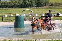 025 D107 -ATTELAGE LOUVRES - MARATHON - 28052017-ATE 1845 : 2017, 28 mAI 2017, Concours ATTELAGE 2017, D107, MARATHON, Obstacle 4