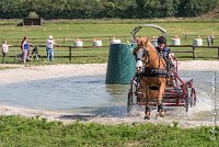 026 D107 -ATTELAGE LOUVRES - MARATHON - 28052017-ATE 1846 : 2017, 28 mAI 2017, Concours ATTELAGE 2017, D107, MARATHON, Obstacle 4