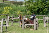 031 D107 -ATTELAGE LOUVRES - MARATHON - 28052017-ATE 1909 : 2017, 28 mAI 2017, Concours ATTELAGE 2017, D107, MARATHON, Obstacle 4