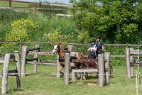 031 D107 -ATTELAGE LOUVRES - MARATHON - 28052017-ATE 1909 : 2017, 28 mAI 2017, Concours ATTELAGE 2017, D107, MARATHON, Obstacle 4