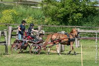 032 D107 -ATTELAGE LOUVRES - MARATHON - 28052017-ATE 1911 : 2017, 28 mAI 2017, Concours ATTELAGE 2017, D107, MARATHON, Obstacle 4