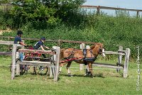 033 D107 -ATTELAGE LOUVRES - MARATHON - 28052017-ATE 1912 : 2017, 28 mAI 2017, Concours ATTELAGE 2017, D107, MARATHON, Obstacle 4