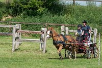 034 D107 -ATTELAGE LOUVRES - MARATHON - 28052017-ATE 1914 : 2017, 28 mAI 2017, Concours ATTELAGE 2017, D107, MARATHON, Obstacle 4