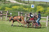 035 D107 -ATTELAGE LOUVRES - MARATHON - 28052017-ATE 1915 : 2017, 28 mAI 2017, Concours ATTELAGE 2017, D107, MARATHON, Obstacle 4