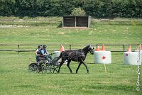 001D108- MARATHON -ATTELAGE LOUVRES - MARATHON - 28052017-ATE 2301 : 2017, 28 mAI 2017, Concours ATTELAGE 2017, D108, MARATHON, Obstacle 1