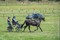 002D108- MARATHON -ATTELAGE LOUVRES - MARATHON - 28052017-ATE 2302 : 2017, 28 mAI 2017, Concours ATTELAGE 2017, D108, MARATHON, Obstacle 1