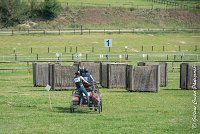 003D108- MARATHON -ATTELAGE LOUVRES - MARATHON - 28052017-ATE 2303 : 2017, 28 mAI 2017, Concours ATTELAGE 2017, D108, MARATHON, Obstacle 1