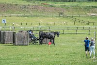 006D108- MARATHON -ATTELAGE LOUVRES - MARATHON - 28052017-ATE 2306 : 2017, 28 mAI 2017, Concours ATTELAGE 2017, D108, MARATHON, Obstacle 1