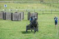 009D108- MARATHON -ATTELAGE LOUVRES - MARATHON - 28052017-ATE 2312 : 2017, 28 mAI 2017, Concours ATTELAGE 2017, D108, MARATHON, Obstacle 1