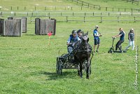 010D108- MARATHON -ATTELAGE LOUVRES - MARATHON - 28052017-ATE 2313 : 2017, 28 mAI 2017, Concours ATTELAGE 2017, D108, MARATHON, Obstacle 1