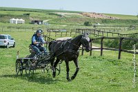 011D108- MARATHON -ATTELAGE LOUVRES - MARATHON - 28052017-ATE 2314 : 2017, 28 mAI 2017, Concours ATTELAGE 2017, D108, MARATHON, Obstacle 1