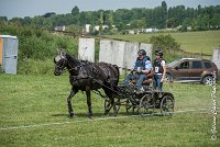 014D108- MARATHON -ATTELAGE LOUVRES - MARATHON - 28052017-ATE 2347 : 2017, 28 mAI 2017, Concours ATTELAGE 2017, D108, MARATHON