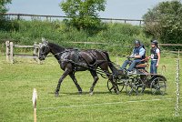 015D108- MARATHON -ATTELAGE LOUVRES - MARATHON - 28052017-ATE 2348 : 2017, 28 mAI 2017, Concours ATTELAGE 2017, D108, MARATHON