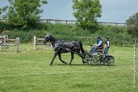 016D108- MARATHON -ATTELAGE LOUVRES - MARATHON - 28052017-ATE 2373 : 2017, 28 mAI 2017, Concours ATTELAGE 2017, D108, MARATHON, Obstacle 3