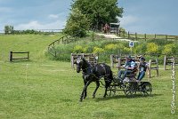 017D108- MARATHON -ATTELAGE LOUVRES - MARATHON - 28052017-ATE 2374 : 2017, 28 mAI 2017, Concours ATTELAGE 2017, D108, MARATHON, Obstacle 3