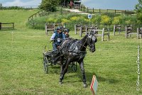 018D108- MARATHON -ATTELAGE LOUVRES - MARATHON - 28052017-ATE 2375 : 2017, 28 mAI 2017, Concours ATTELAGE 2017, D108, MARATHON, Obstacle 3