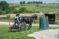 020D108- MARATHON -ATTELAGE LOUVRES - MARATHON - 28052017-ATE 2377 : 2017, 28 mAI 2017, Concours ATTELAGE 2017, D108, MARATHON, Obstacle 3