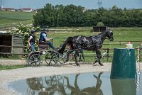 021D108- MARATHON -ATTELAGE LOUVRES - MARATHON - 28052017-ATE 2378 : 2017, 28 mAI 2017, Concours ATTELAGE 2017, D108, MARATHON, Obstacle 3