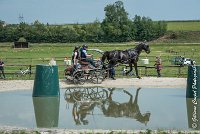 022D108- MARATHON -ATTELAGE LOUVRES - MARATHON - 28052017-ATE 2379 : 2017, 28 mAI 2017, Concours ATTELAGE 2017, D108, MARATHON, Obstacle 3