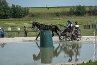 025D108- MARATHON -ATTELAGE LOUVRES - MARATHON - 28052017-ATE 2382 : 2017, 28 mAI 2017, Concours ATTELAGE 2017, D108, MARATHON, Obstacle 3