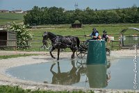 026D108- MARATHON -ATTELAGE LOUVRES - MARATHON - 28052017-ATE 2383 : 2017, 28 mAI 2017, Concours ATTELAGE 2017, D108, MARATHON, Obstacle 3