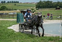 028D108- MARATHON -ATTELAGE LOUVRES - MARATHON - 28052017-ATE 2385 : 2017, 28 mAI 2017, Concours ATTELAGE 2017, D108, MARATHON, Obstacle 3