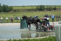 031D108- MARATHON -ATTELAGE LOUVRES - MARATHON - 28052017-ATE 2388 : 2017, 28 mAI 2017, Concours ATTELAGE 2017, D108, MARATHON, Obstacle 3