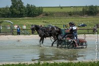 033D108- MARATHON -ATTELAGE LOUVRES - MARATHON - 28052017-ATE 2390 : 2017, 28 mAI 2017, Concours ATTELAGE 2017, D108, MARATHON, Obstacle 3