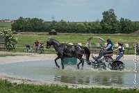 034D108- MARATHON -ATTELAGE LOUVRES - MARATHON - 28052017-ATE 2392 : 2017, 28 mAI 2017, Concours ATTELAGE 2017, D108, MARATHON, Obstacle 3