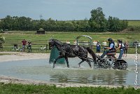 035D108- MARATHON -ATTELAGE LOUVRES - MARATHON - 28052017-ATE 2391 : 2017, 28 mAI 2017, Concours ATTELAGE 2017, D108, MARATHON, Obstacle 3