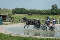 036D108- MARATHON -ATTELAGE LOUVRES - MARATHON - 28052017-ATE 2393 : 2017, 28 mAI 2017, Concours ATTELAGE 2017, D108, MARATHON, Obstacle 3