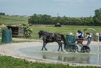 037D108- MARATHON -ATTELAGE LOUVRES - MARATHON - 28052017-ATE 2394 : 2017, 28 mAI 2017, Concours ATTELAGE 2017, D108, MARATHON, Obstacle 3