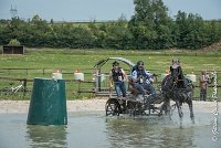 039D108- MARATHON -ATTELAGE LOUVRES - MARATHON - 28052017-ATE 2397 : 2017, 28 mAI 2017, Concours ATTELAGE 2017, D108, MARATHON, Obstacle 3