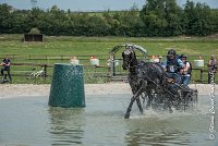 040D108- MARATHON -ATTELAGE LOUVRES - MARATHON - 28052017-ATE 2398 : 2017, 28 mAI 2017, Concours ATTELAGE 2017, D108, MARATHON, Obstacle 3