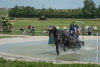 041D108- MARATHON -ATTELAGE LOUVRES - MARATHON - 28052017-ATE 2399 : 2017, 28 mAI 2017, Concours ATTELAGE 2017, D108, MARATHON, Obstacle 3