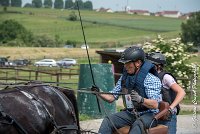 042D108- MARATHON -ATTELAGE LOUVRES - MARATHON - 28052017-ATE 2400 : 2017, 28 mAI 2017, Concours ATTELAGE 2017, D108, MARATHON, Obstacle 3